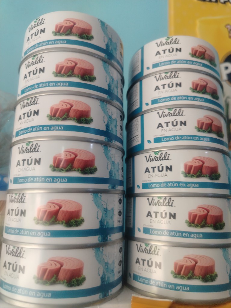 Vivaldi Atún en agua