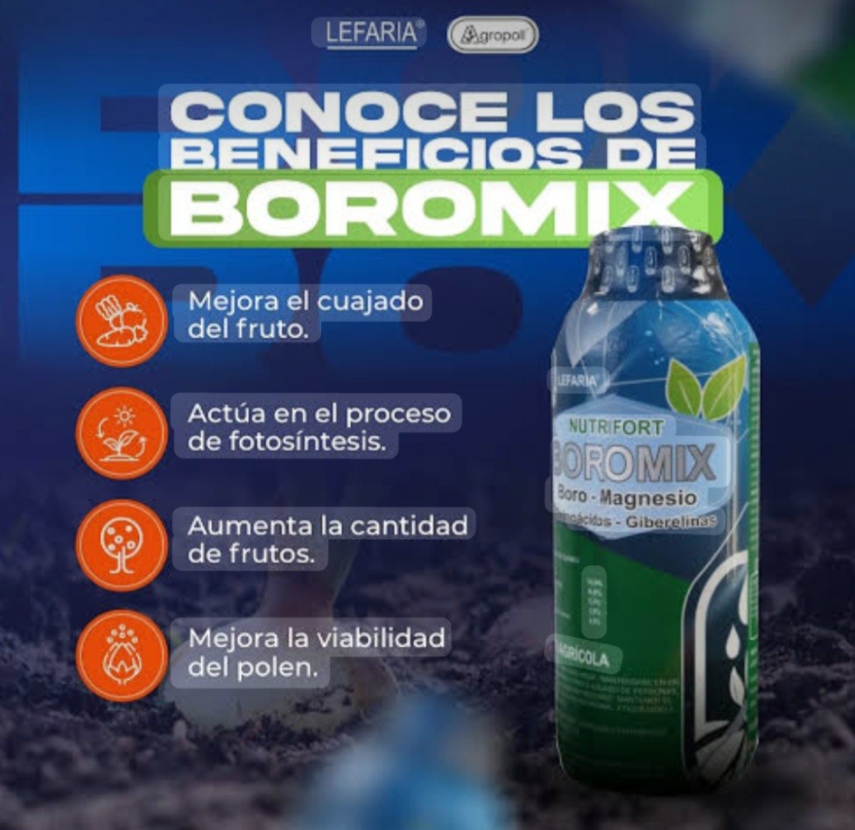 0401 BOROMIX nutriefort boro magnesio 1l