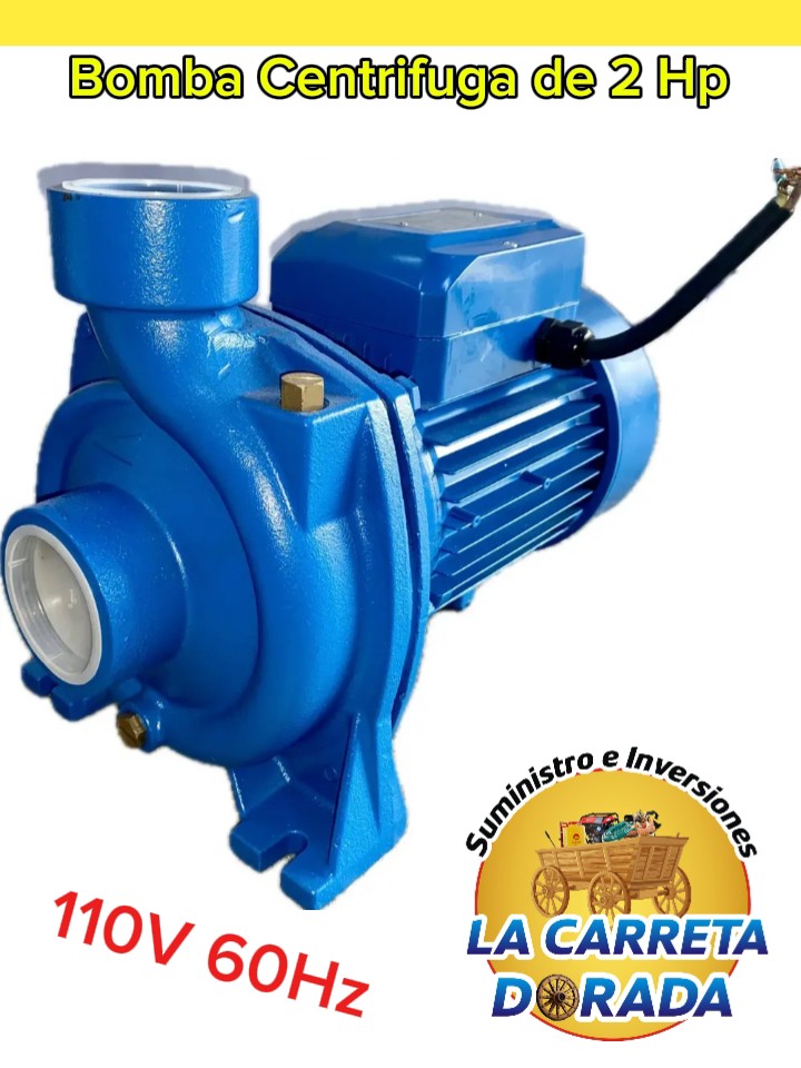 1303 Bomba centrifuga 2Hp 110V