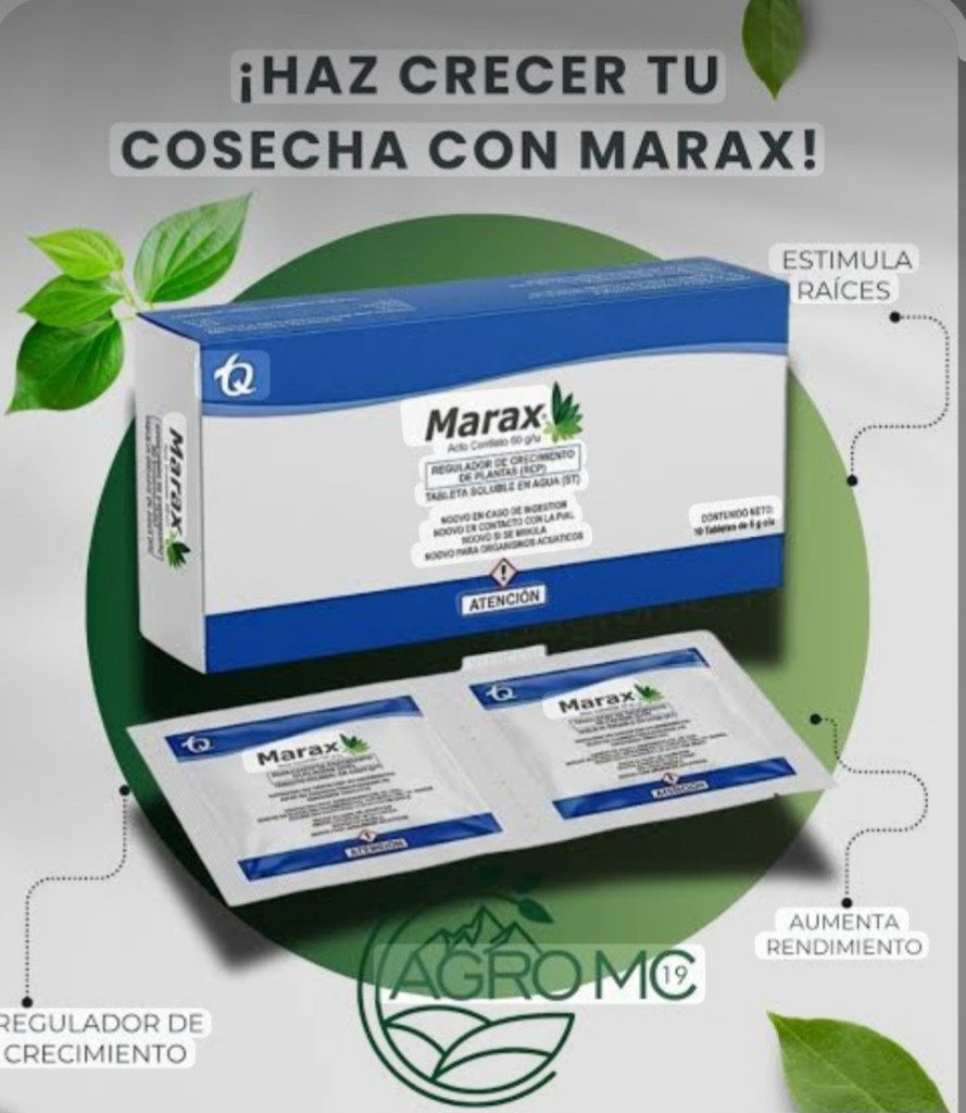 0300 Marax regulador de crecimiento