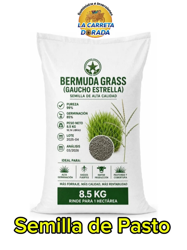 3500 Semillas de pasto Bermuda
