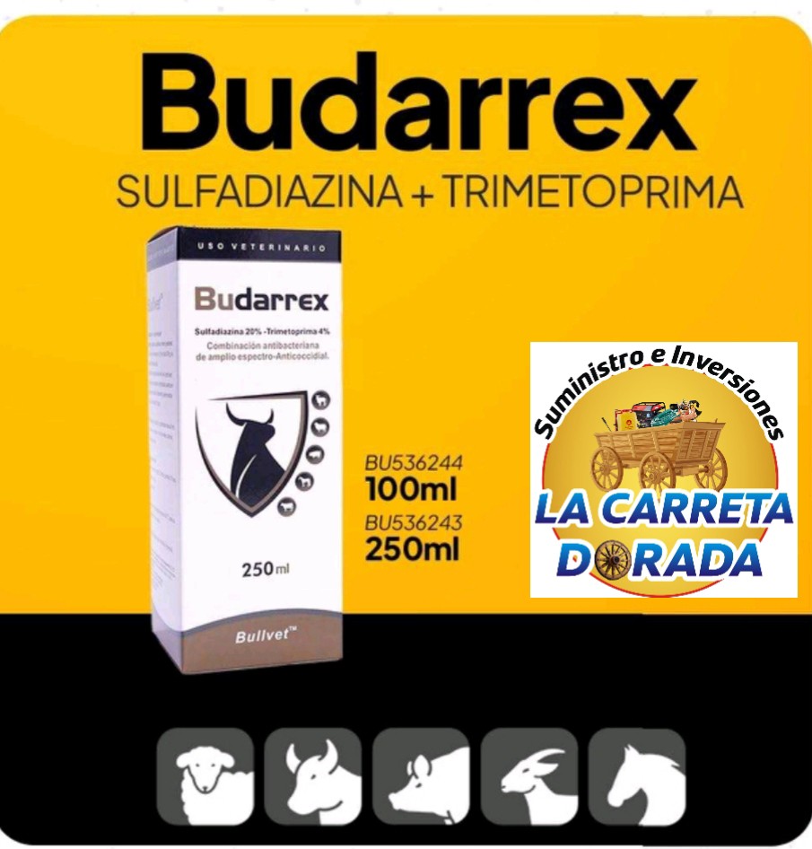 Budarrex sulfadiazina + trimetoprima 100ml