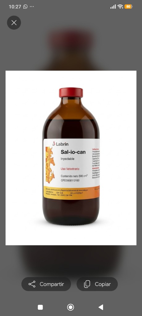 Labrin Sal-io-can inyectable 500ml