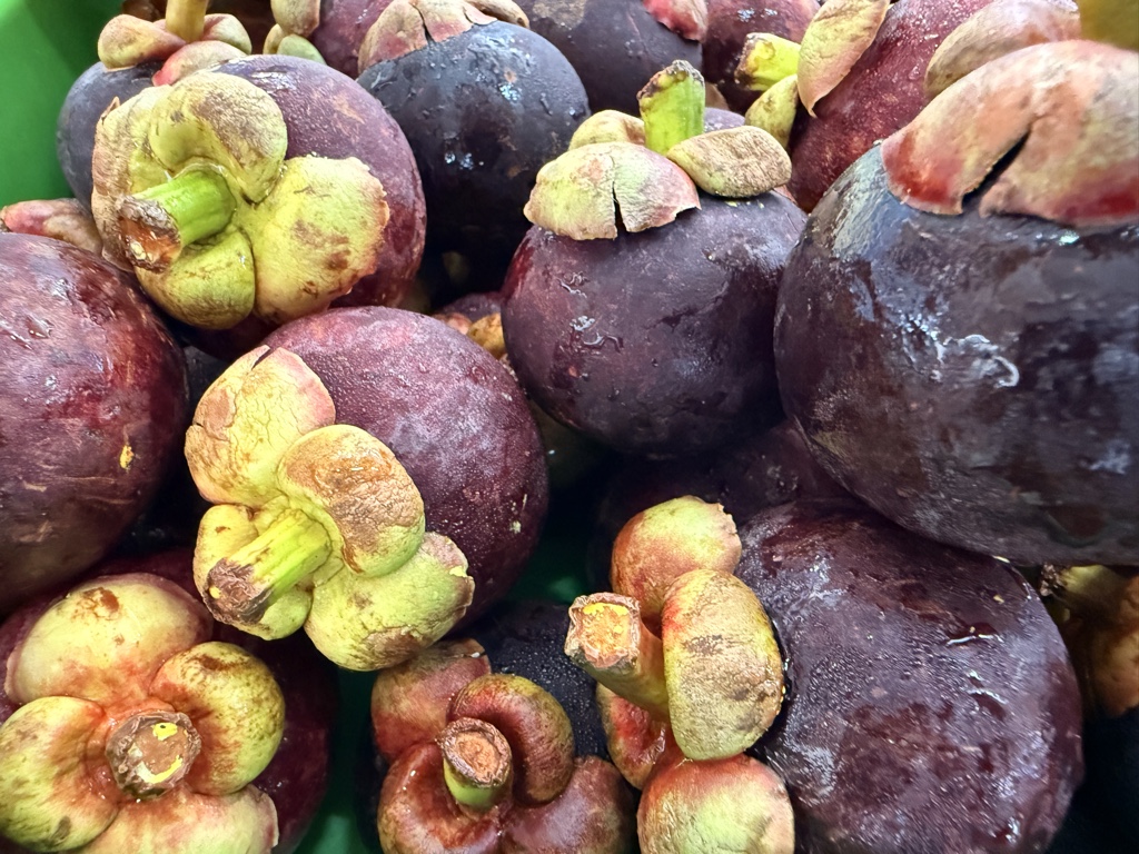 Mangostan