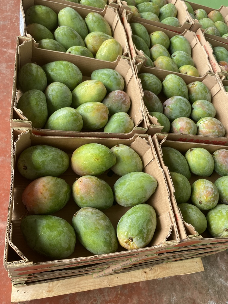 Mango kiss