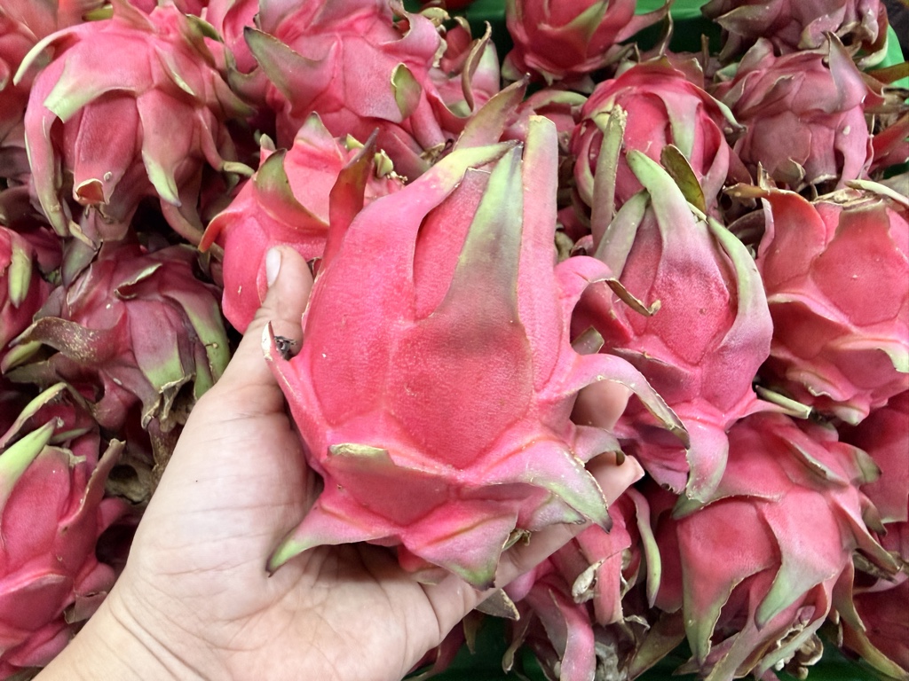 Pitahaya