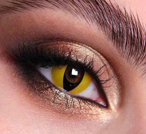 Gato Amarillo