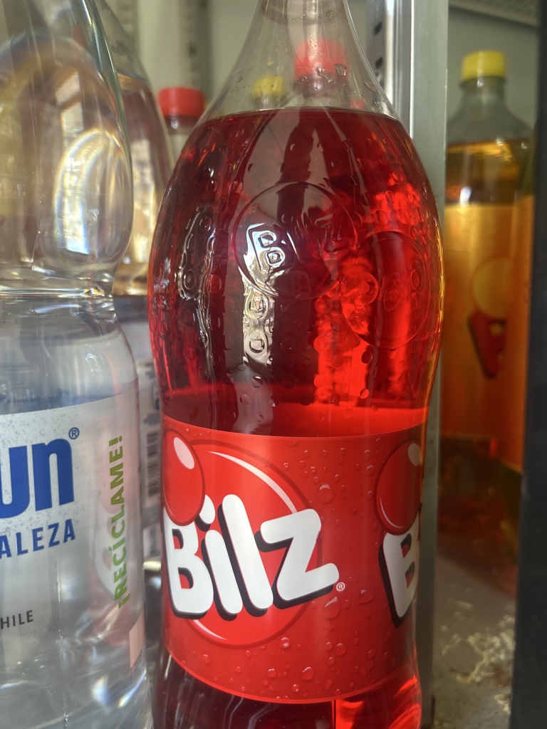 Bebida bilz