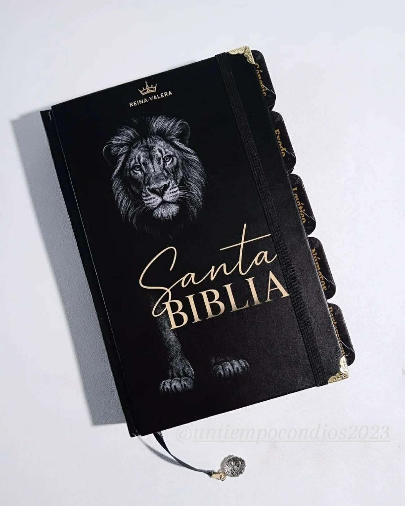 Santa Biblia Rv 1960 letra grande negra modelo 1