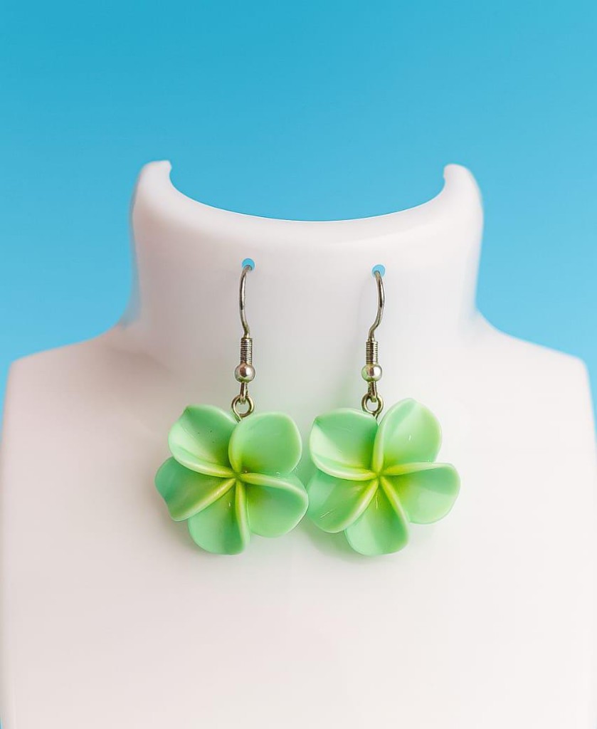 Aretes corina
