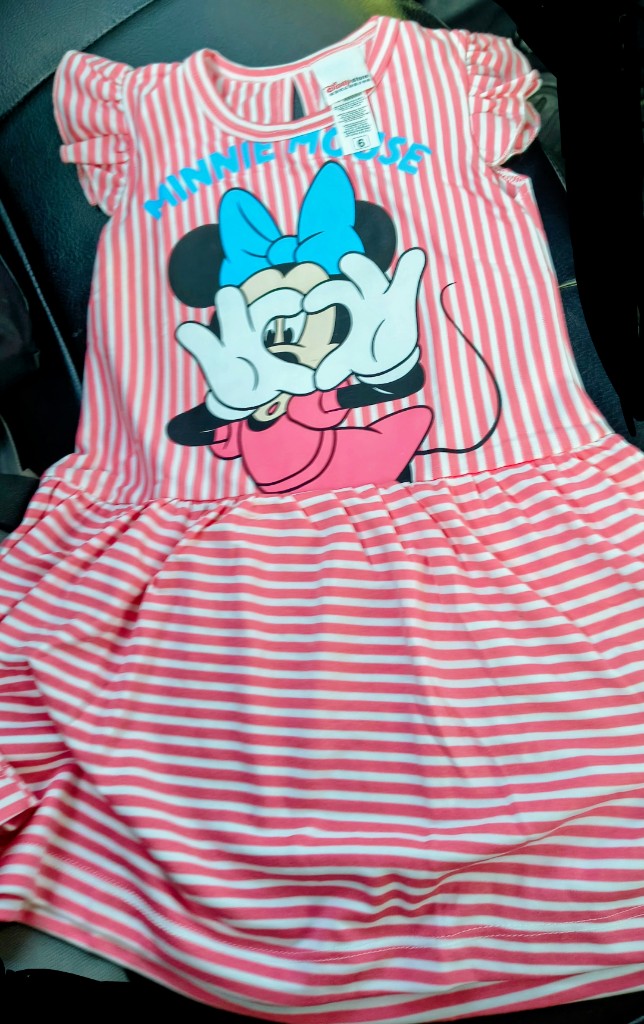 Minnie Mouse vestido rosa