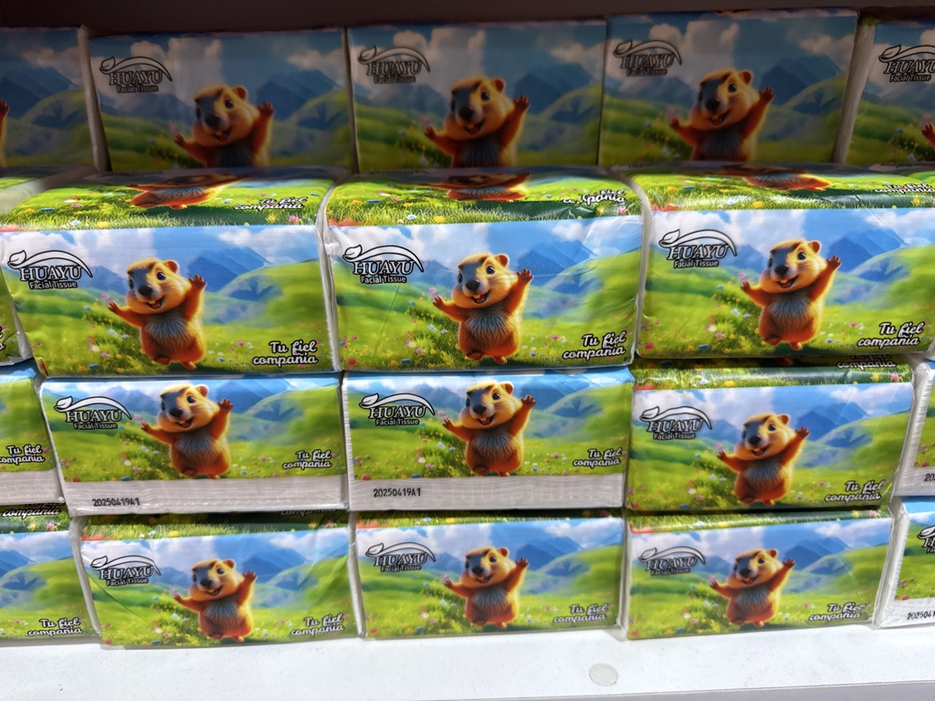 tissue Capibara