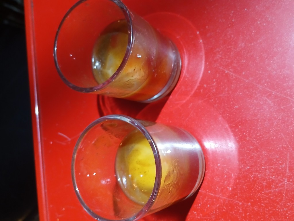 HUEVO DE TORTUGA A LA OSTRA