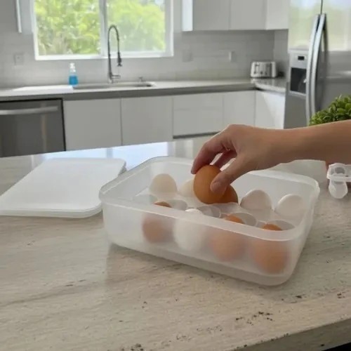 Caja organizadora de huevos x15 huevos