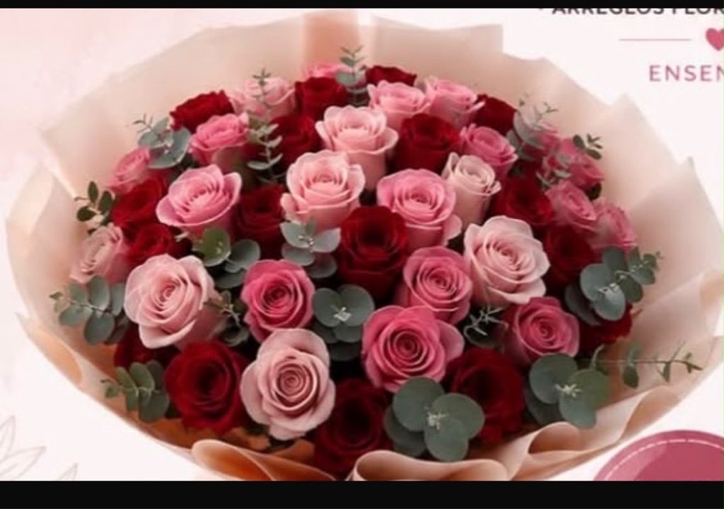 Ramo  de 25 rosas rosa y 25 rojas