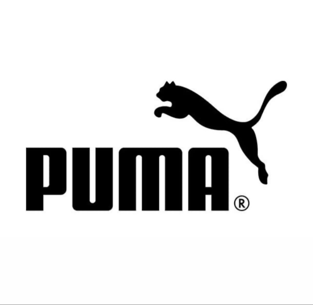 Gorras de Puma