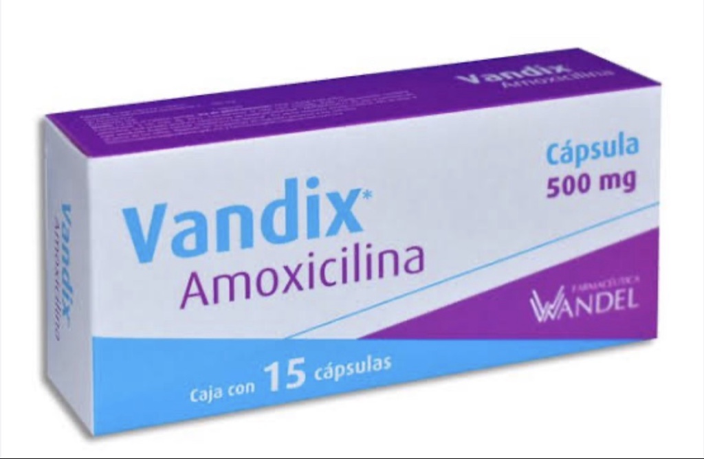 Vandix Amoxicilina 500 mg