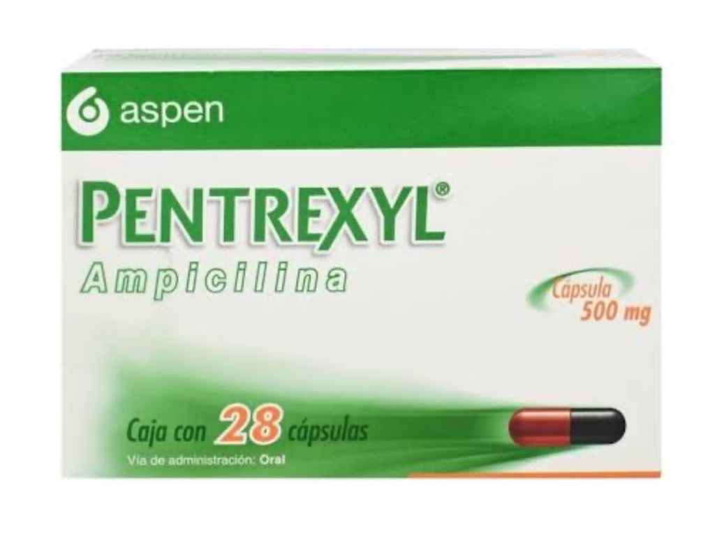 Pentrexyl Ampicilina 500 mg