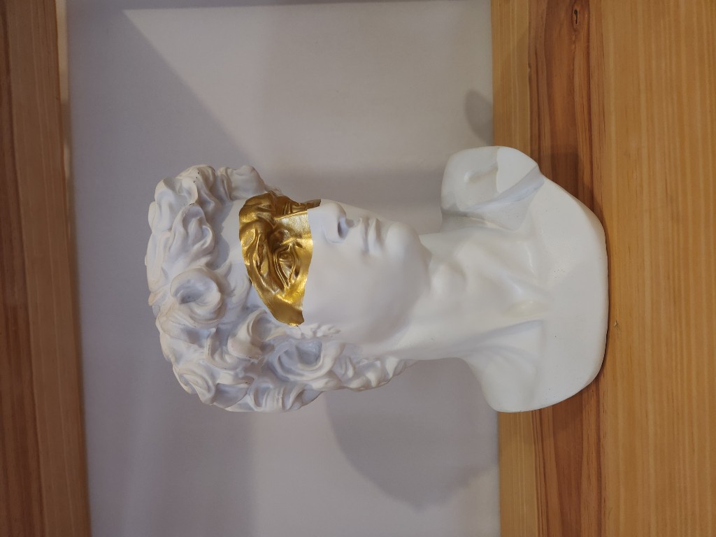CABEZA DE DAVID.