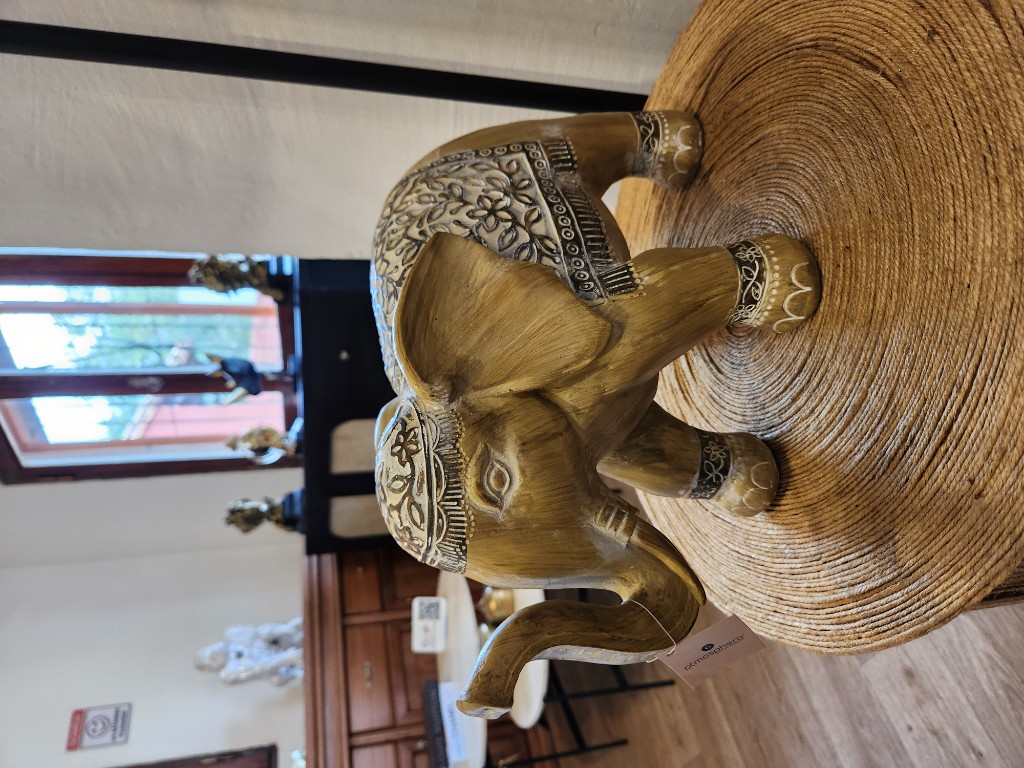 ELEFANTE LEO 25..
