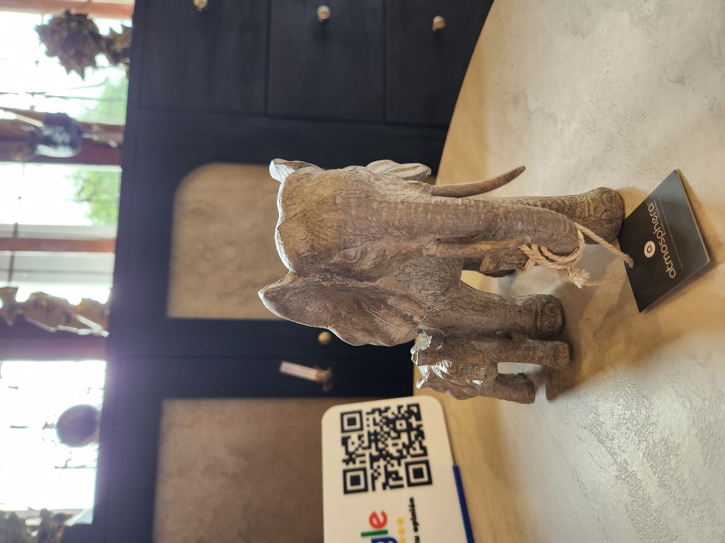 ELEFANTE X2 RSN KENNA A15.5 .