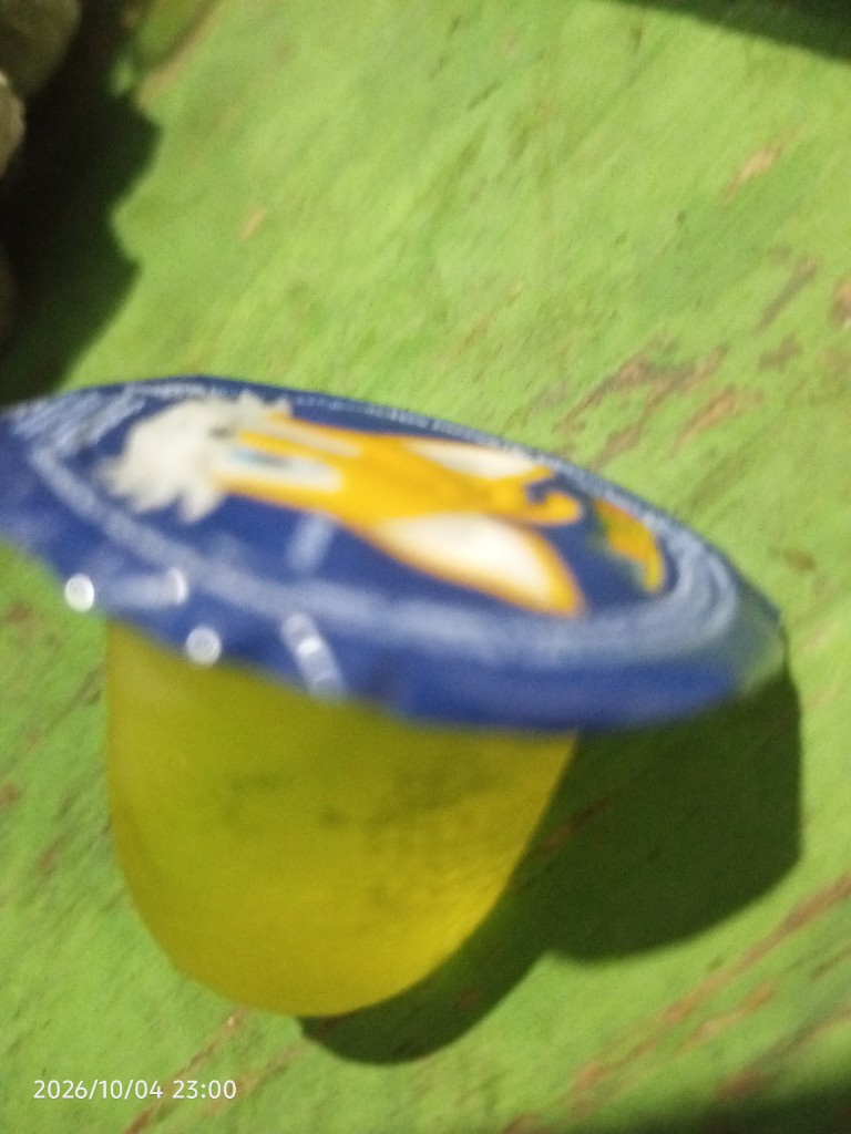 Gelatina mini