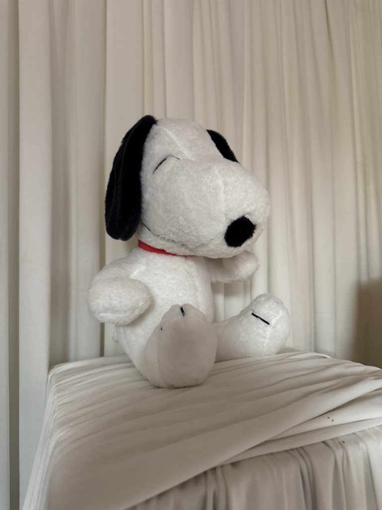 SNOOPY COLLAR ROJO