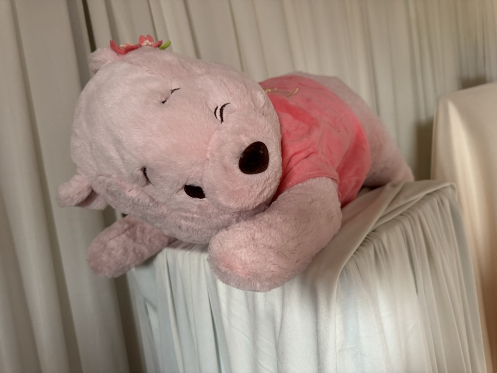 OSITA PHOO ROSADO