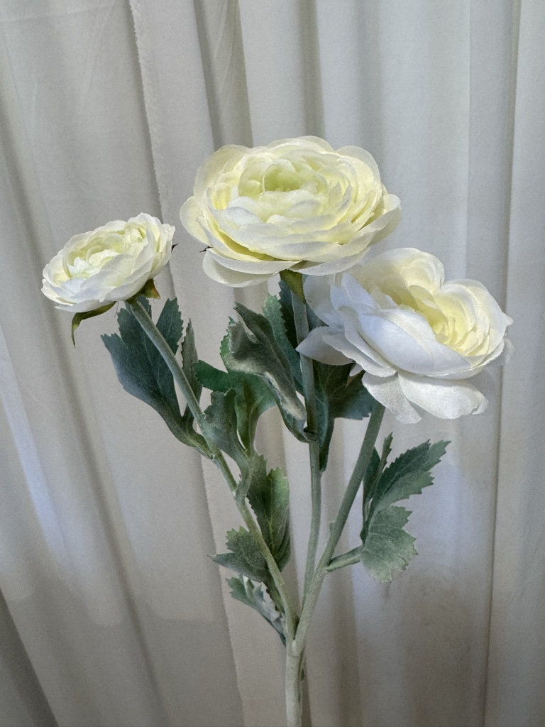 RANÚNCULO BLANCO