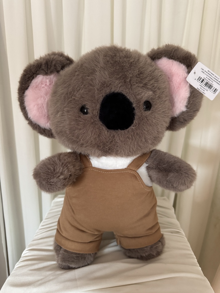 KOALA PELUCHE CAFÉ