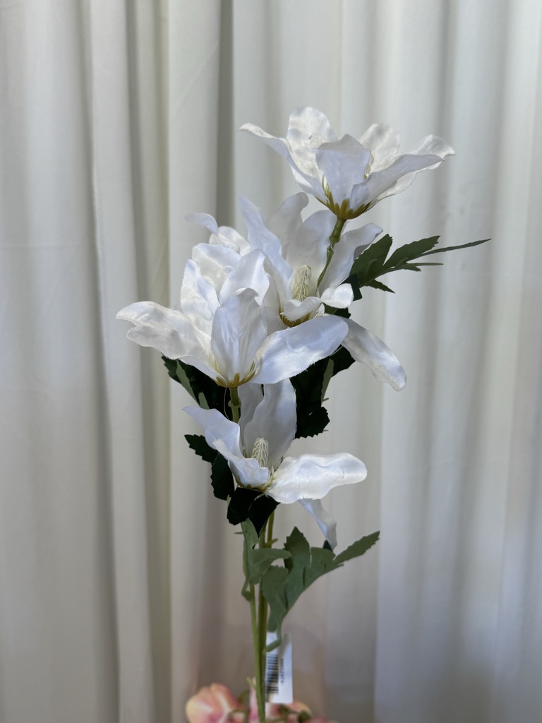 LILIUM