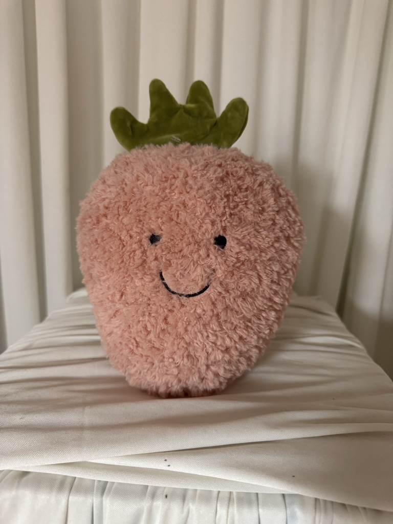 FRESA PELUCHE ROSADO