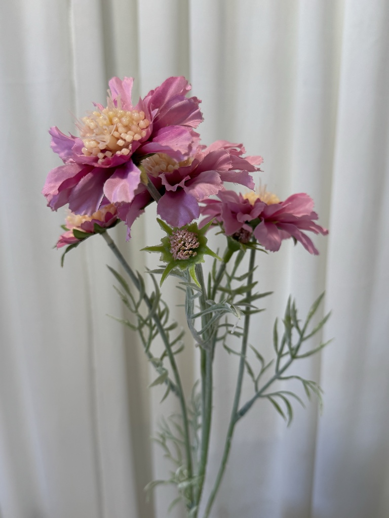 ZINIA