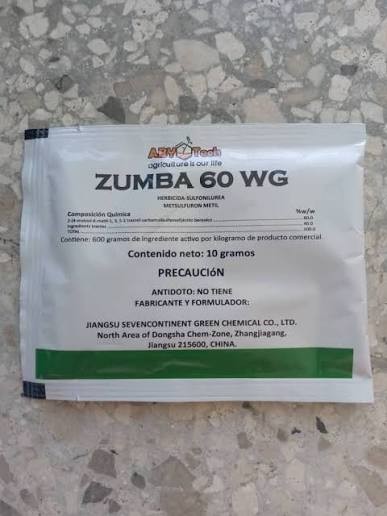 ALIADO ZUMBA CAJA 100