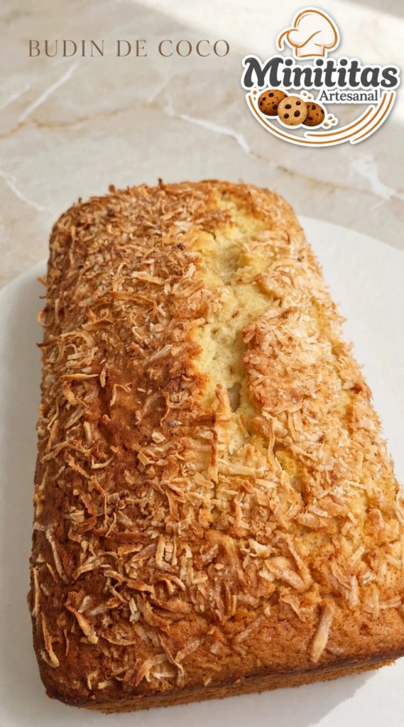 Budin coco