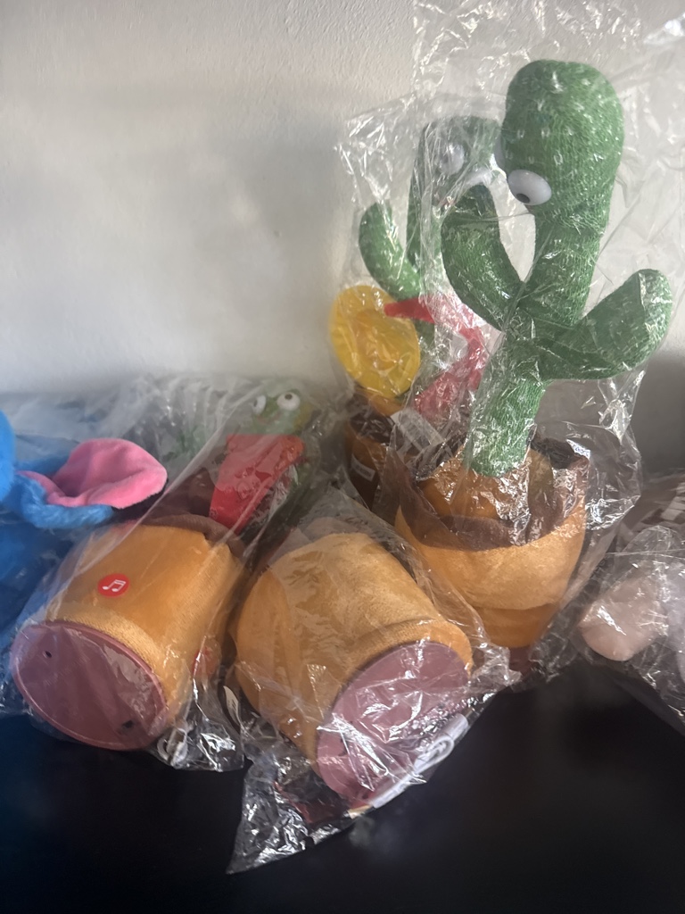 Cactus bailarín
