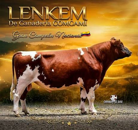 Arshyre Comgami Lemken