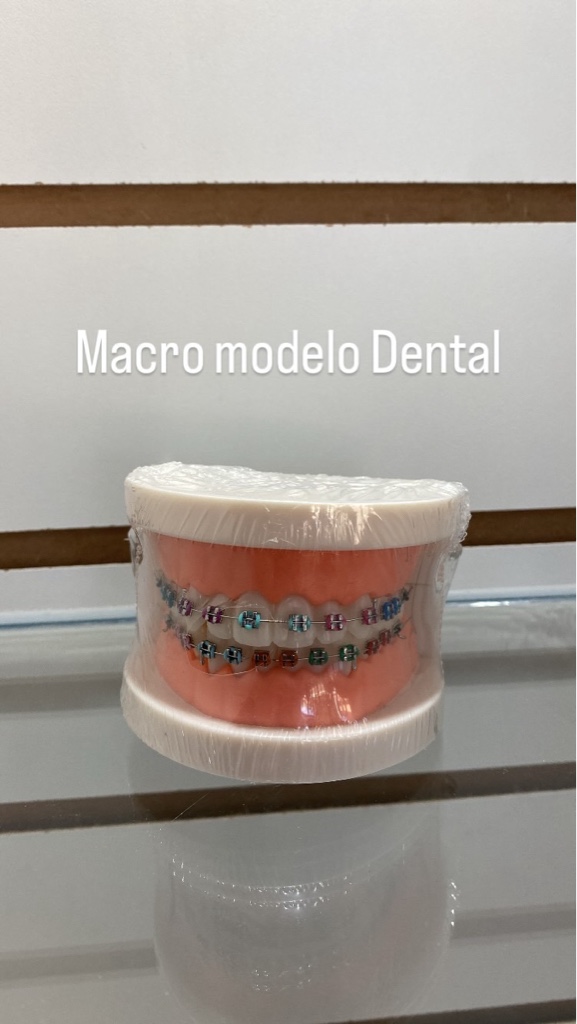 Macro modelo con brackets