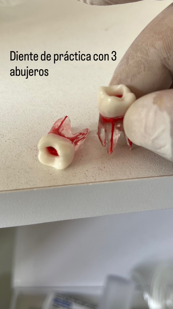 Dientes de práctica de 3 agujeros