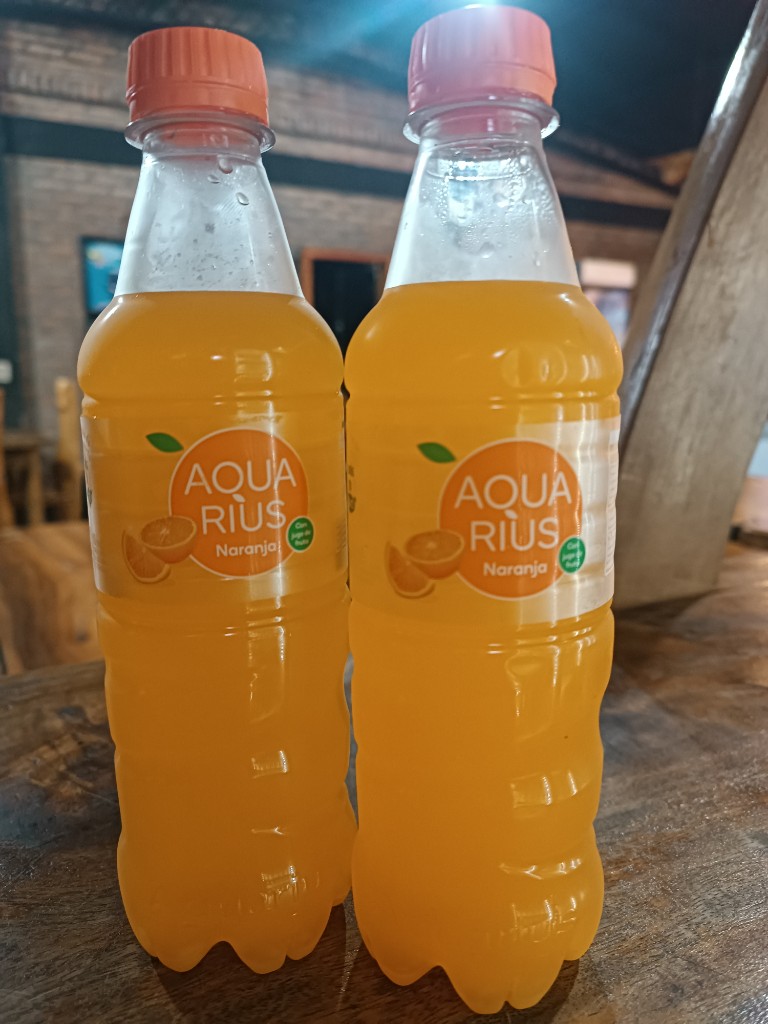Aqua Rius Naranja 500ml