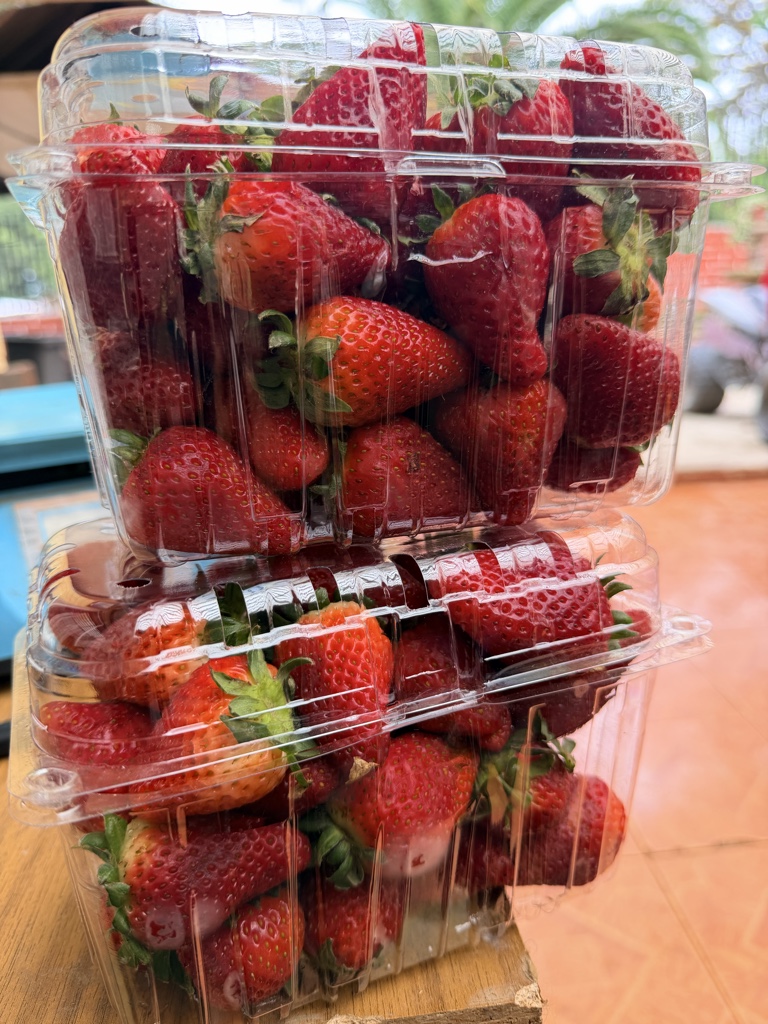 Frutilla kg