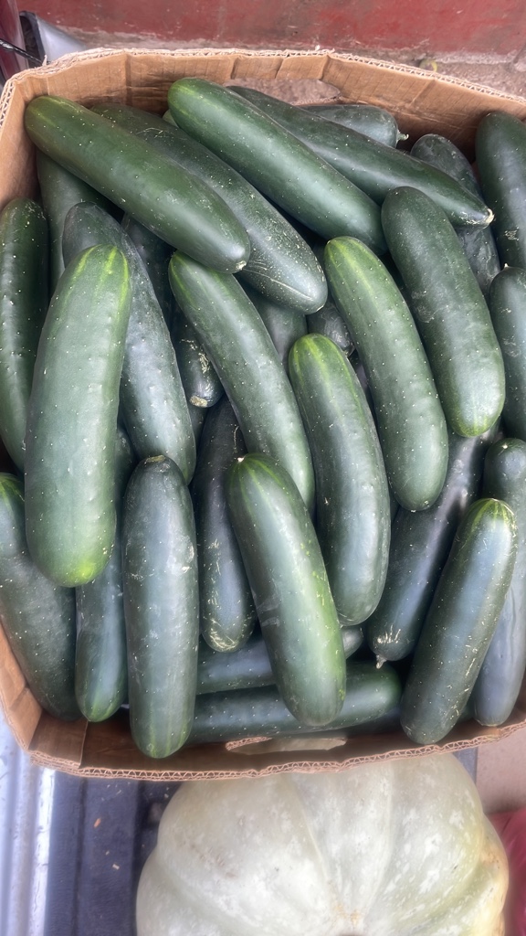 Pepino ( un)
