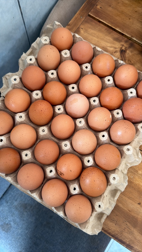 Huevos de campo (30 unidades) - EXTRA