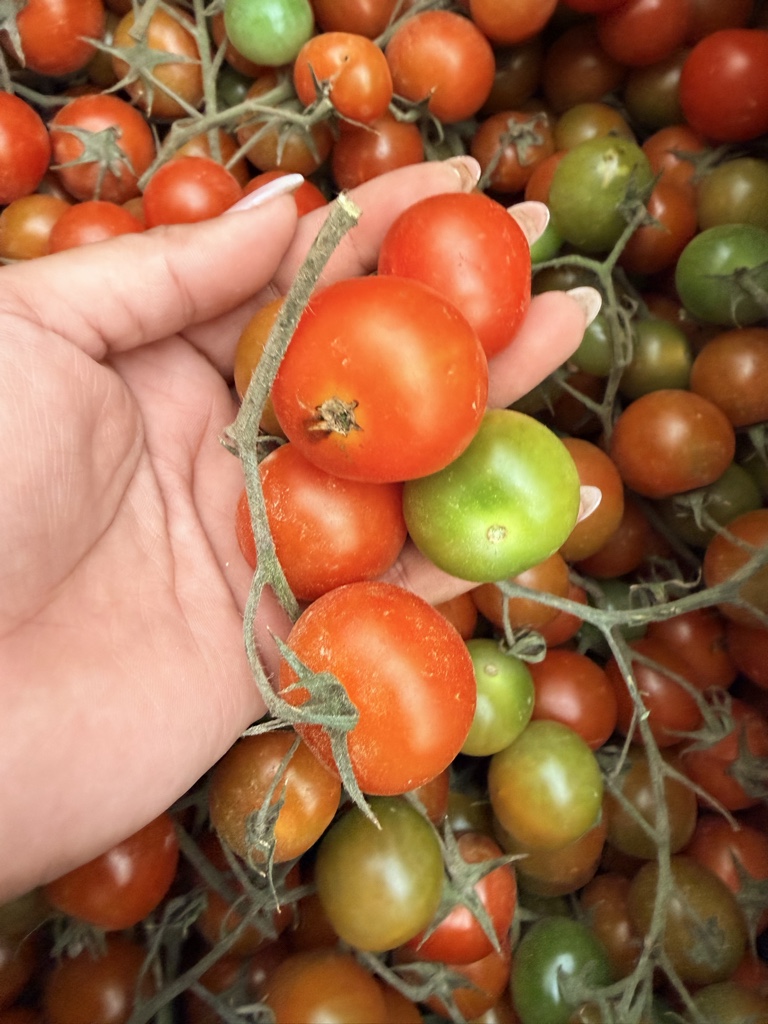 Tomate cherry (Kg)