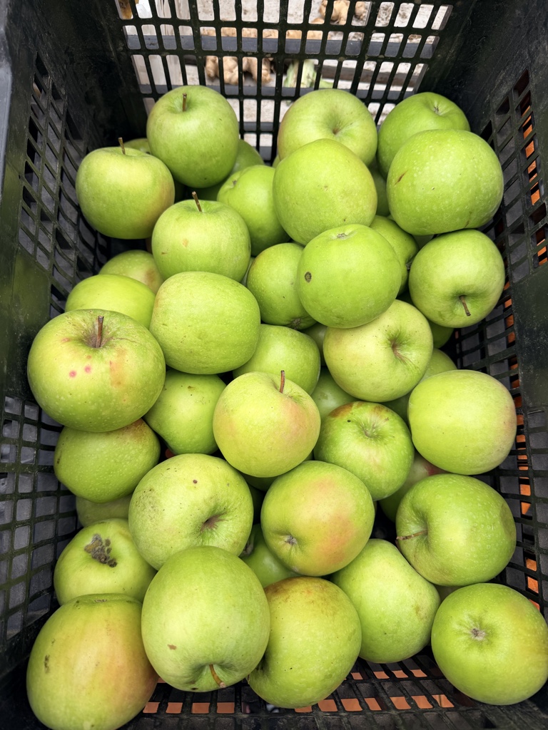 Manzana verde