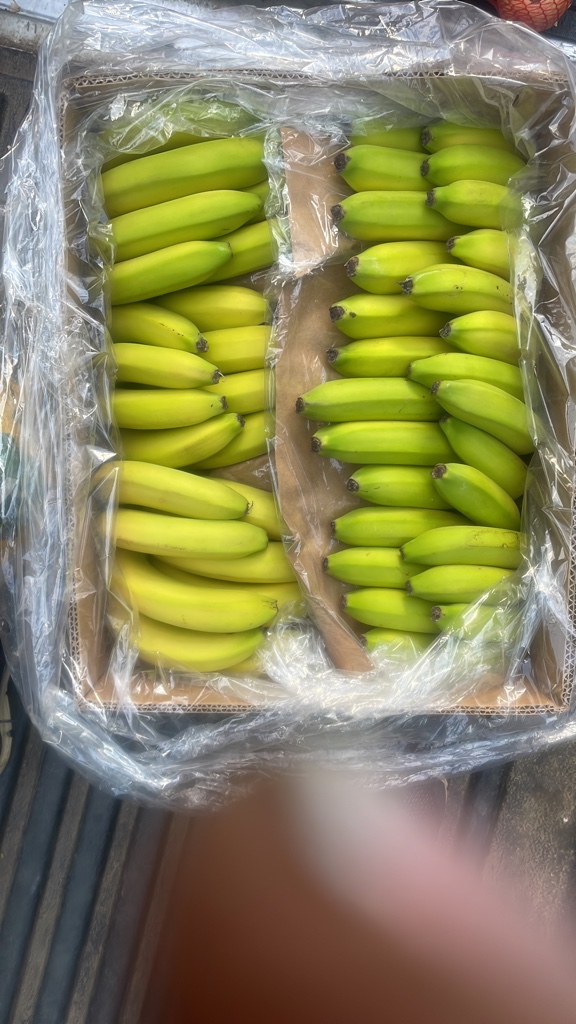 Plátano (Kg)