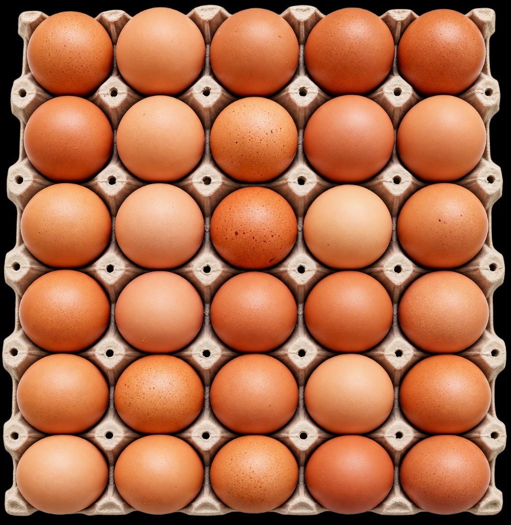 Huevos Jumbo de Gallinas Libres – 30 Unidades