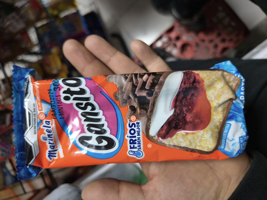 Marinela Gansito chocolate
