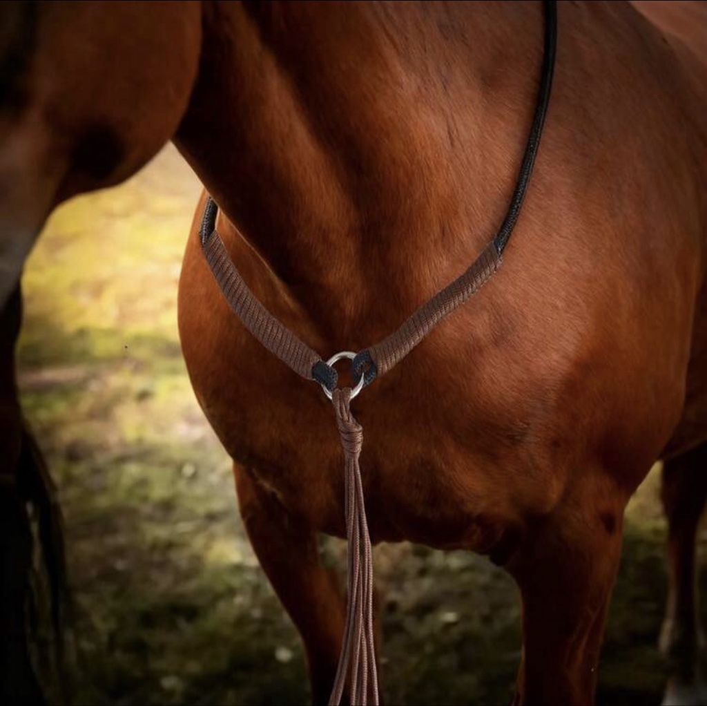 Collar marrón de caballo