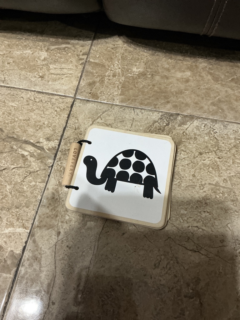 Lovevery Tortuga libro